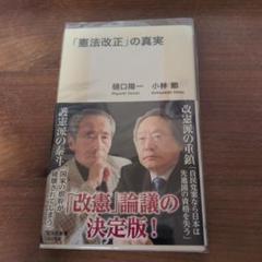 「憲法改正」の真実　樋口陽一　小林節