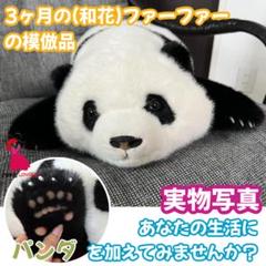 三月の和花パンダぬいぐるみ 中国人気No.1ファーファー シリコン爪 三月の和花パンダぬいぐるみ 中国人気No.1ファーファー シリコン