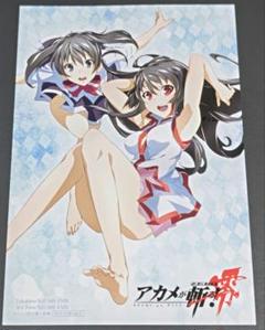アカメが斬る 特典 イラストカード　こみらの！