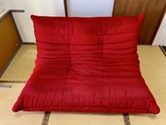 綺麗希少 ligne roset リーンロゼ 人気の赤2人掛け直接引き取り歓迎