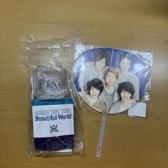 ARASHI Beautiful World ツアー うちわ、ペンライトセット