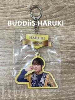 BUDDiiS 岩尾春輝 HARUKI グッズ まとめ売り BUDDiiS 岩尾春輝 HARUKI グッズ まとめ売り