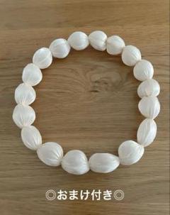 HISTORIA × BEAMS JAPAN◎別注 ピュアプリーツ 大18粒のサムネイル