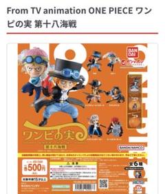 2025年最新】ワンピの実 第八海戦 コンプの人気アイテム - メルカリ