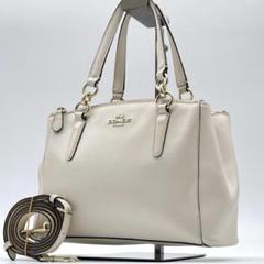 美品 COACH 2WAY レザー ハンド ショルダーバッグ e313