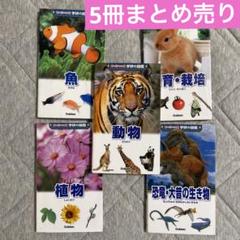 最終値下げ】ポケット版 学研の図鑑 5冊 まとめ売り - メルカリ