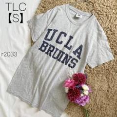 アメリカ古着 ビンテージ アリゾナ州立大学 サンデビルズ Tシャツ　【S】