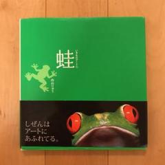 蛙