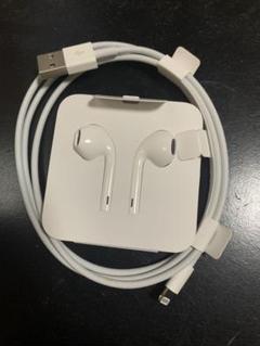 アップル純正ケーブルとイヤホンです