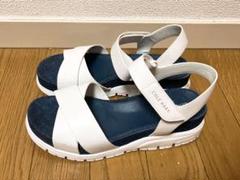未使用⭐︎コールハーン　サンダル　ゼログランド　23センチ vectorpremium_081-902503250747
