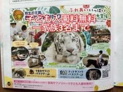 【中古】メイドインアビス 群馬サファリパーク アクリルスタンド　全種類セット 2025年最新】群馬サファリの人気アイテム - メルカリ
