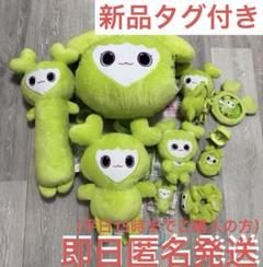 ジョンブリー クッション ラブリー Amazon.co.jp: twice TWICE ジョンヨン ジョンブリー ぬいぐるみ