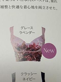 セレブラMサイズ