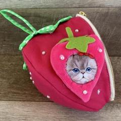 コヤンイサムチョン♡ボストンバッグ♡ コヤンイサムチョン ショルダー付きボストンバッグ - メルカリ