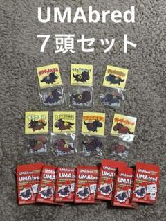 UMAbred アクリルスタンドキーホルダーコレクション　BOX版ステッカー付き
