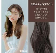 2025年最新】ピンクエイジ チョコブラウンの人気アイテム - メルカリ