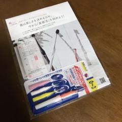デンタルプロ お試しパック