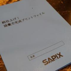 サピックス 総仕上げ! 語彙力完成プリントファイル