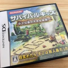 サバイバルキッズ 小さな島の大きな秘密⁉︎ DS
