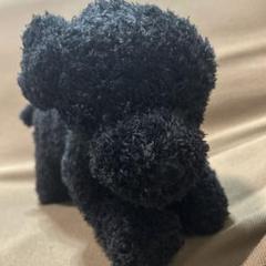 Amazon.co.jp: stuffed Toy Poodle スタッフド トイプードル 全