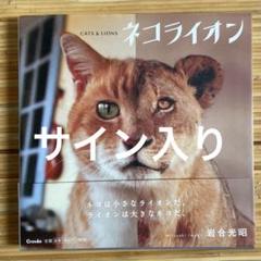 ネコライオン 岩合光昭　猫とライオンの写真集のサムネイル