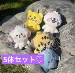LESSERAFIM ルセラフィム ぬいぐるみ キー フィムズクラブ 5体