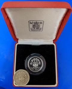 １ポンド 硬貨の中古 未使用品 メルカリ