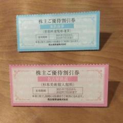 杉本美術館入館料1枚 恵那峡遊覧船割引券1枚 名鉄お買物ご優待券6枚