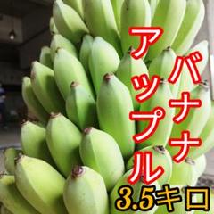 アップルバナナ120cm 3本セット ab_01_from_grande.jpg?v=1619768294