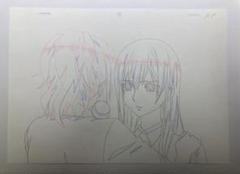 2025年最新】citrus 展の人気アイテム - メルカリ