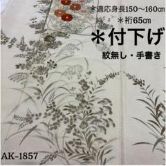 AK-1857 裄65 刺繍 付下げ 紋無し 手書き 刺繍正絹広衿袷着物