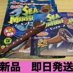 2025年最新】シー・モンスター (Sea Monster)の人気アイテム