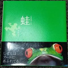 蛙