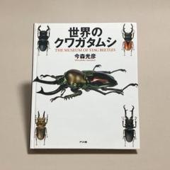 世界のクワガタムシ　今森 光彦　アリス館