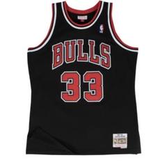 ビンテージ　90s NBA チャンピオン　アメリカ　40 ユニフォーム　ピッペン s-l400.jpg