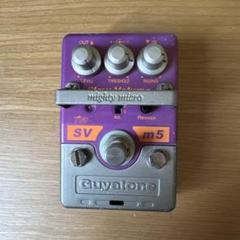 Guyatone SV m5 Slow volume - メルカリ