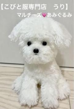 【くるくる】ハンドメイド マルチーズ 10/5 くるくる様専用】ハンドメイド マルチーズ 10/5-限定でセール