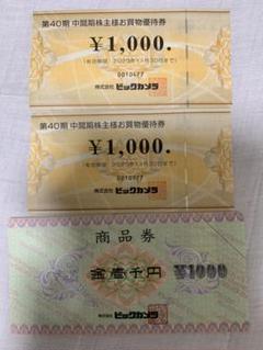 ビックカメラ コジマ 優待券 3000円分