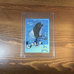 鳥羽水族館　コレカ　10パックセット　70周年記念　メイキラ　セレナ　チェキ風 鳥羽水族館コレカ10パックセット70周年記念メイキラセレナチェキ風
