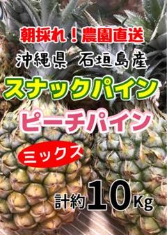 沖縄産 スナックパイン ピーチパインミックス 約10kg 沖縄産 ピーチパインスナックパイン ミックス 計約10kg - メルカリ