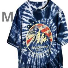 海外輸入 古着 YELLOWSTONE EST. 1872 タイダイ Tシャツ