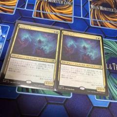 コスモゴイフ　2枚セット