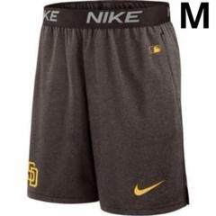 【新品タグ付き】NIKE パドレス　ショーツ　2024選手支給モデル　Mサイズ 新品タグ付き】NIKE パドレス ショーツ 2024選手支給モデル M
