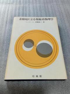 【期間限定値下】素励起による凝縮系物理学 眞隅 泰三 (著)