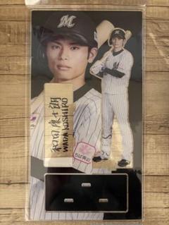 和田康士朗 アクリルスタンド 千葉ロッテマリーンズ