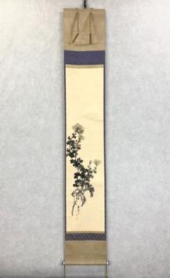 掛軸 熊谷真彦 菊之図 木箱 茶掛 茶道具 花 - メルカリ
