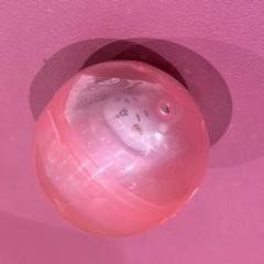 ちいかわカプセルトイ
