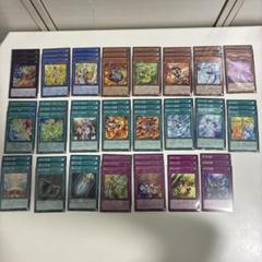 遊戯王　御巫(みかんこ)　シークレット　フルセット+α　タクティカルトライパック 遊戯王 御巫(みかんこ) シークレット フルセット+α タクティカル