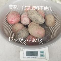 じゃがいもドラゴンレッド　8キロ　農薬、化学肥料不使用 新じゃが】農薬・化学肥料不使用！ 山の赤土で育った赤じゃが