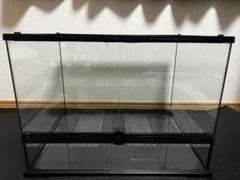 2025年最新】レインフォレストタンクの人気アイテム - メルカリ